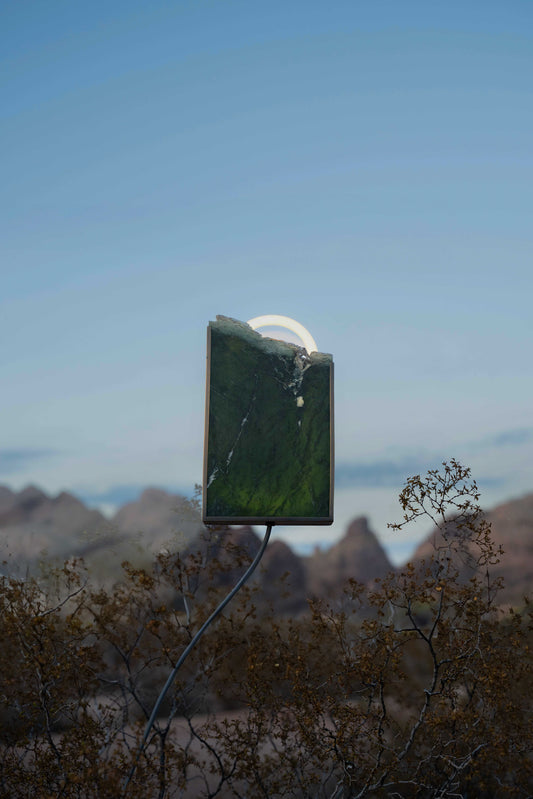 Rare Earth Jade Sconce
